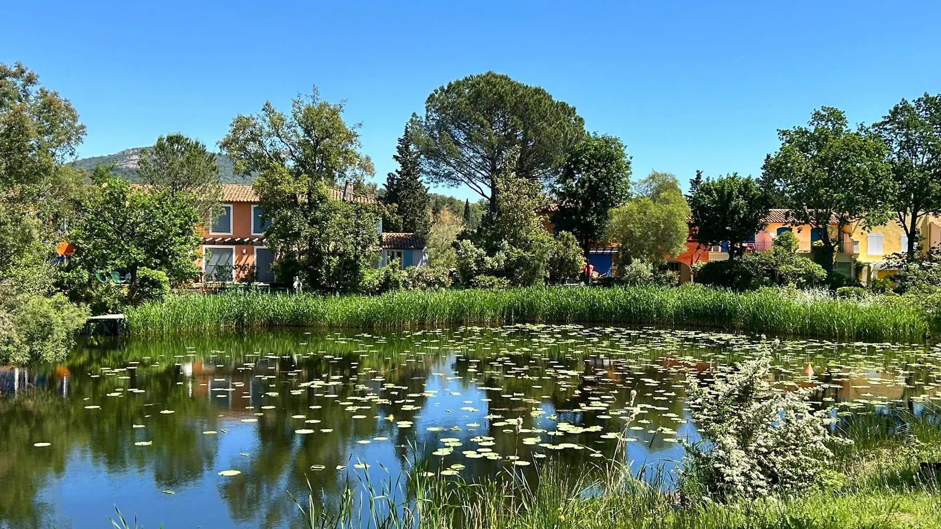 Les Restanques Vue Mer Roses 1070 Rez De Jardin Grimaud Apartment